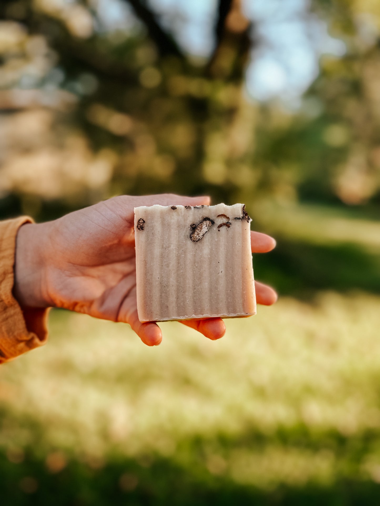 Harvest Tallow Soap Bar