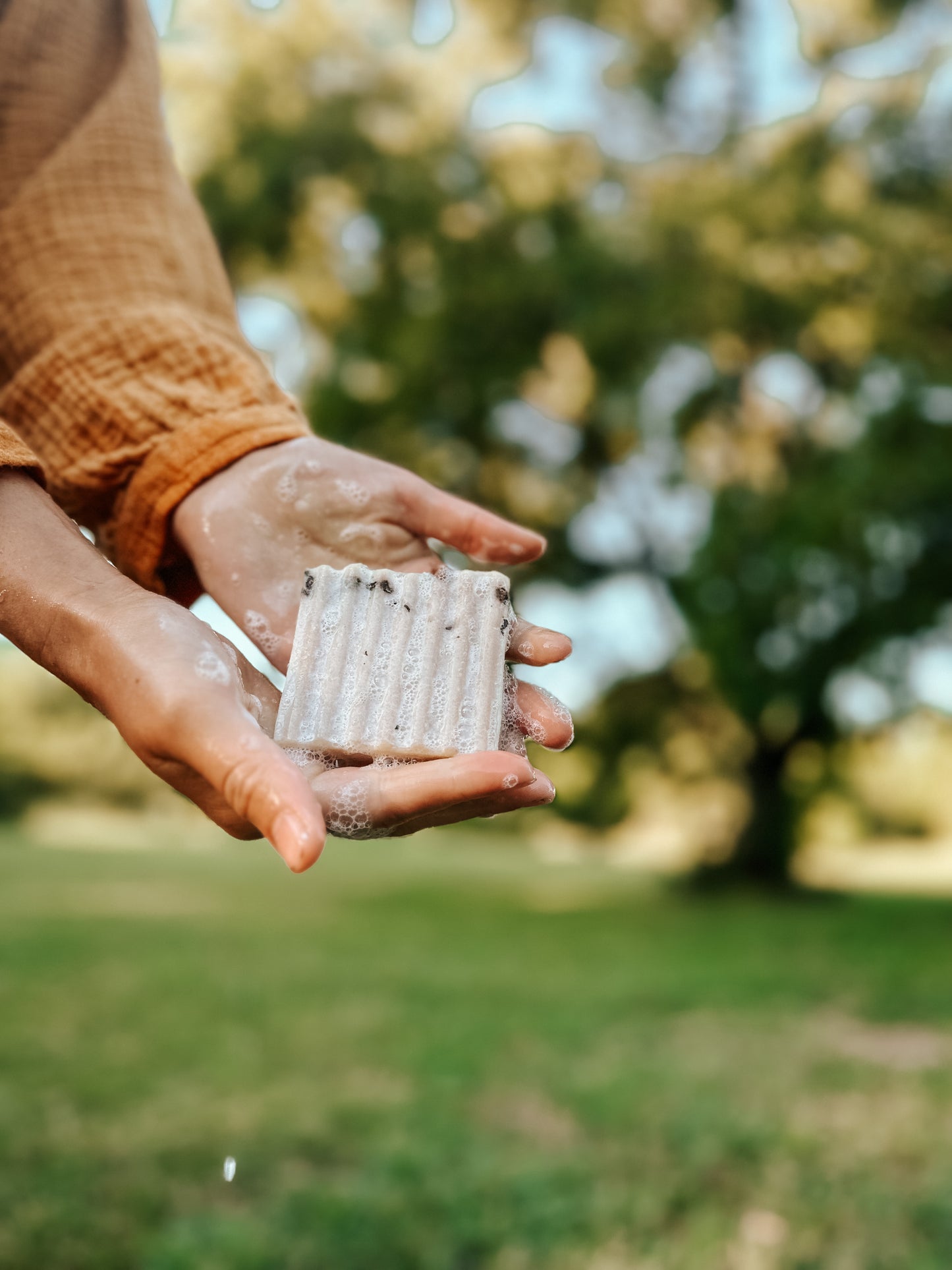 Harvest Tallow Soap Bar